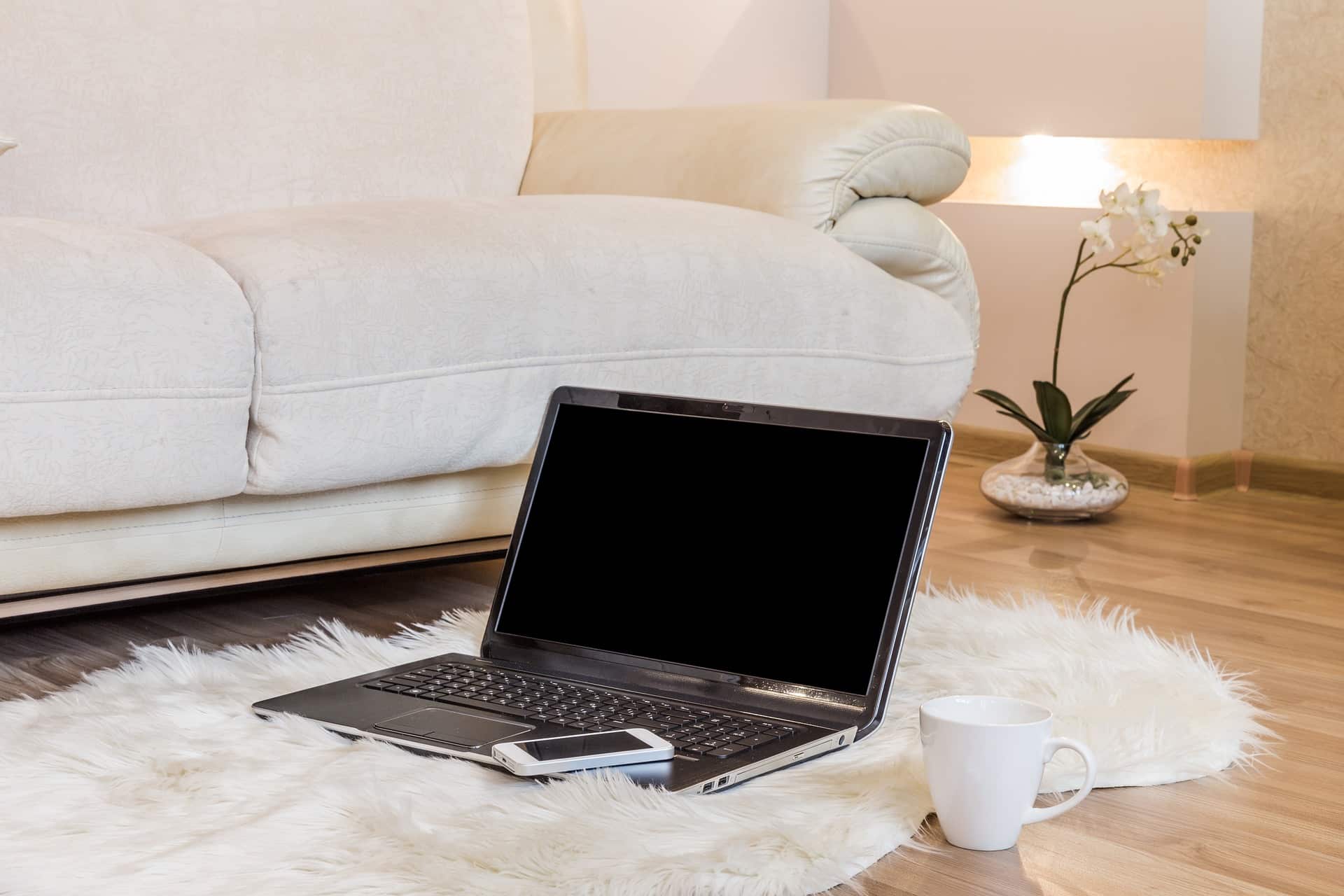 telecommuting-6786501_1920